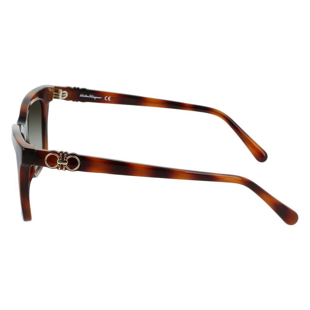 Brown Injected Sunglasses